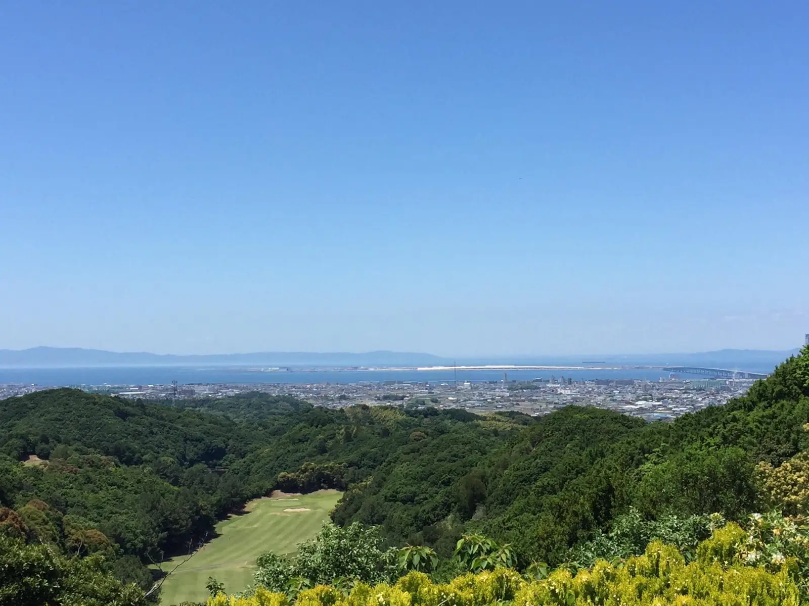 이즈미사노